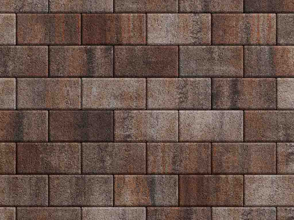 Плитка тротуарная Прямоугольник А.2.П.4 листопад гранит клен, 200*100*40 мм