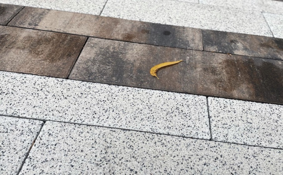 Плитка тротуарная Паркет Б.16.Псм.8 стоунмикс белый с черным, комплект 6 шт, толщина 80 мм