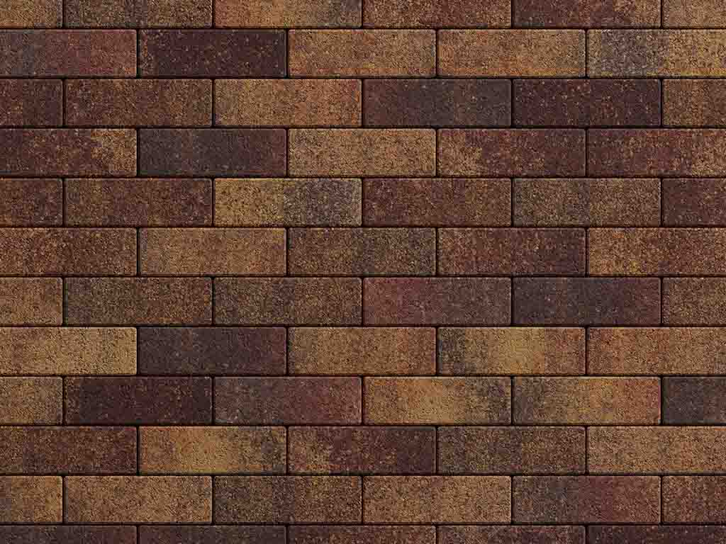 Плитка тротуарная Паркет Б.4.П.6 листопад гранит осень, 180*60*60 мм