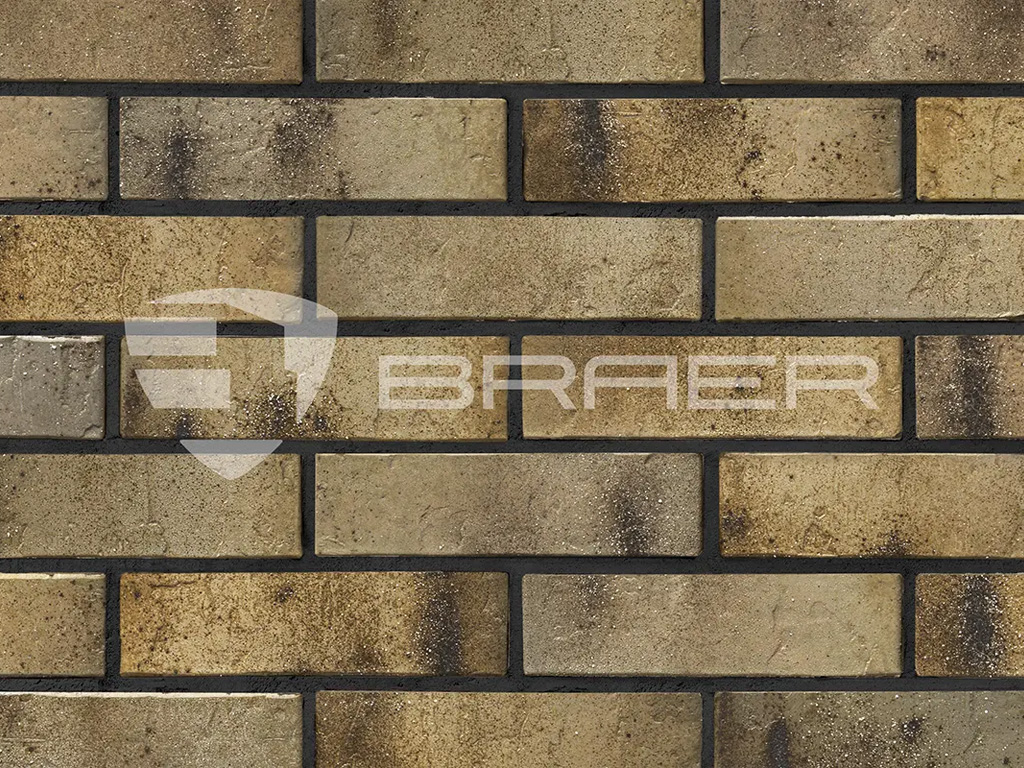 Кирпич BRAER PRO 3.03, 250*120*65 мм
