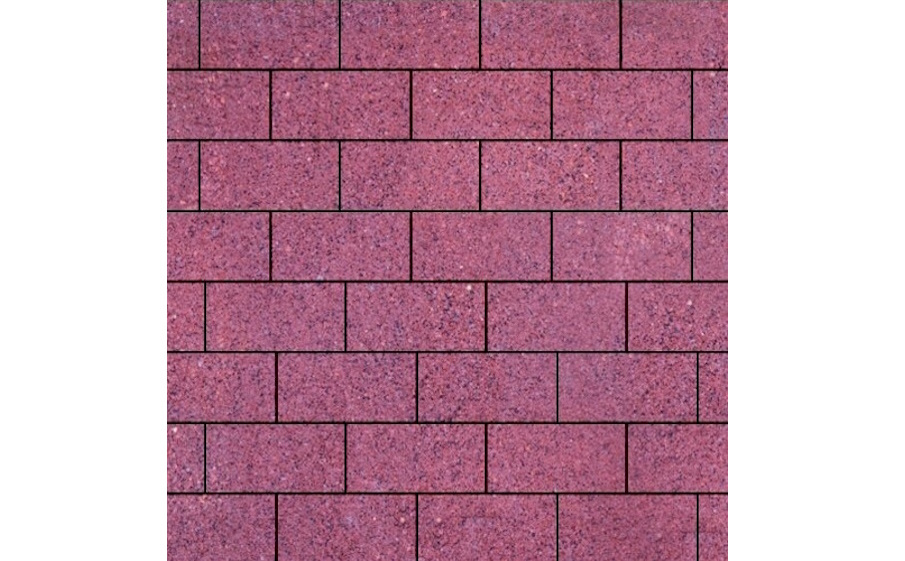 Плитка тротуарная SteinRus Прямоугольник Б.6.П.6, Backwash, Сиваш, 200*100*60 мм
