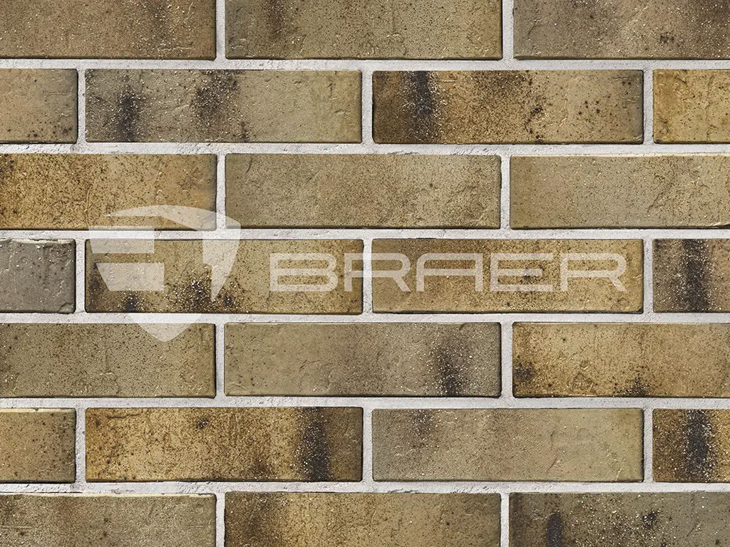 Кирпич BRAER PRO 3.03, 250*120*65 мм