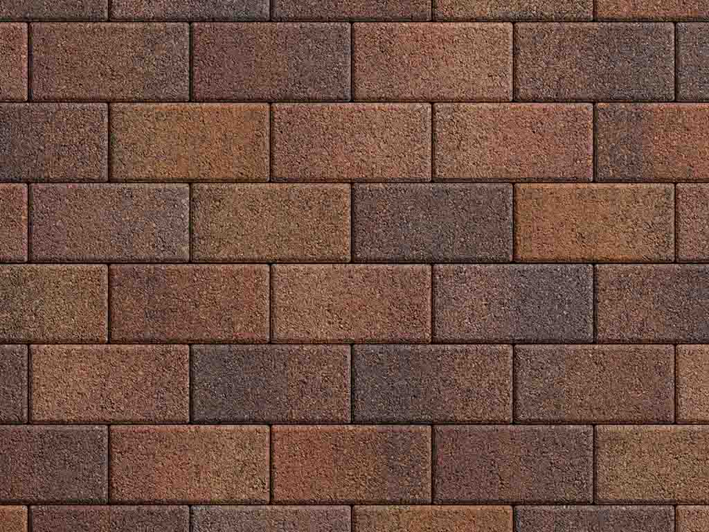 Плитка тротуарная Прямоугольник Б.2.П.6 листопад гранит арабская ночь, 200*100*60 мм