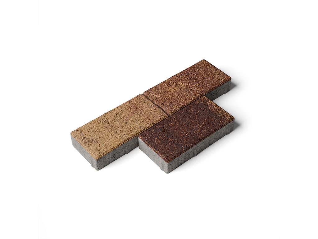 Плитка тротуарная Прямоугольник А.2.П.4 листопад гранит осень, 200*100*40 мм