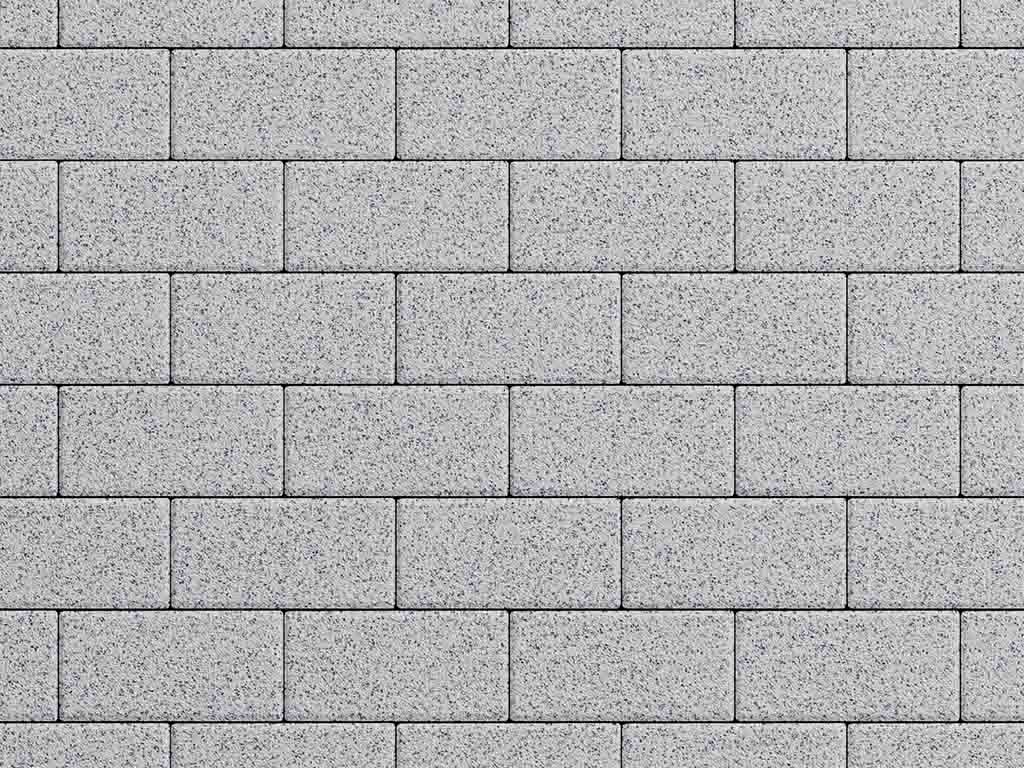 Плитка тротуарная Прямоугольник Б.2.П.6 стоунмикс белый с черным, 200*100*60 мм