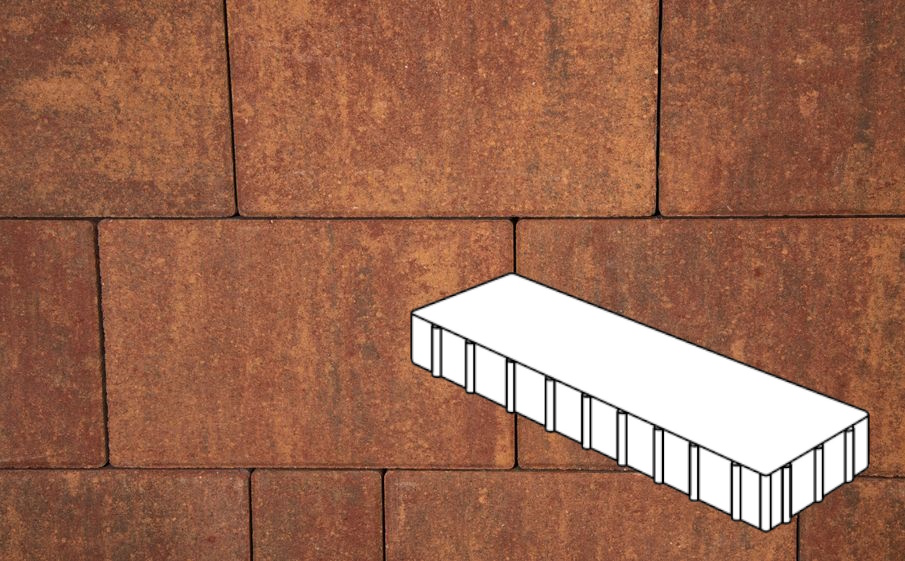 Плитка тротуарная Готика Natur, Плита Б.3.П.10, Вернисаж, 500*125*100 мм