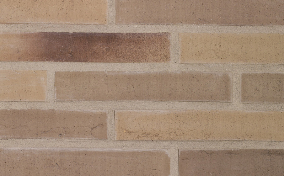 Кирпич облицовочный Terca Linnaeus Salix, 288*88*48 мм