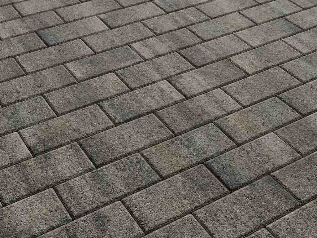 Плитка тротуарная Прямоугольник Б.2.П.8 листопад гранит старый замок, 200*100*80 мм