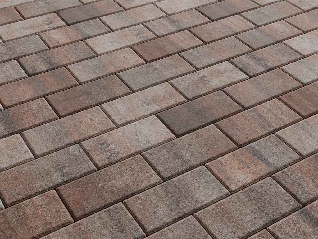 Плитка тротуарная Прямоугольник Б.2.П.6 листопад гладкий клен, 200*100*60 мм 