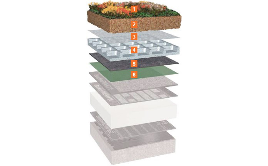 Система экстенсивного озеленения неэксплуатируемой плоской крыши Bauder WSP 50