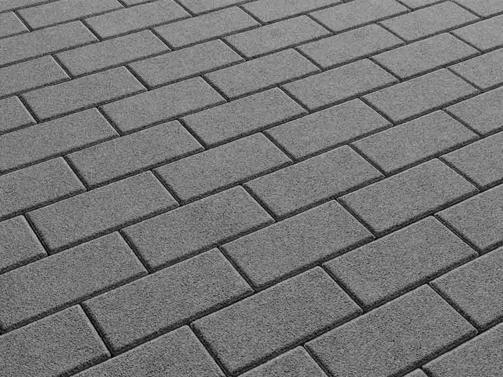 Плитка тротуарная Прямоугольник А.2.П.4 гранит серый, 200*100*40 мм