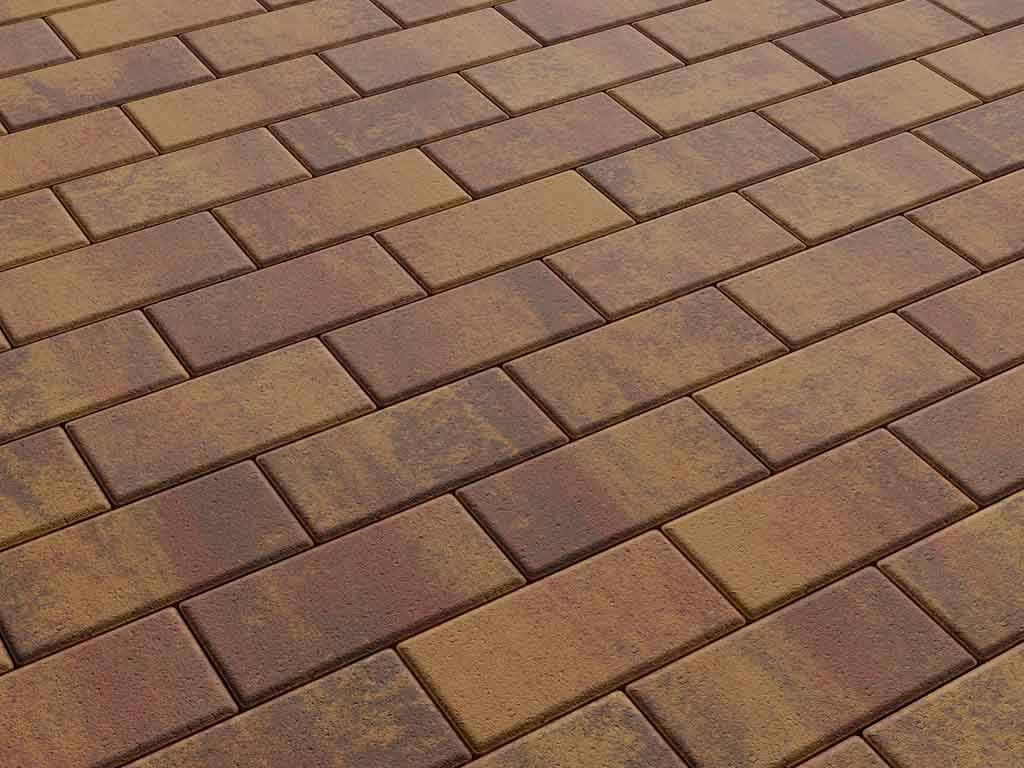 Плитка тротуарная Прямоугольник А.2.П.4 листопад гладкий осень, 200*100*40 мм