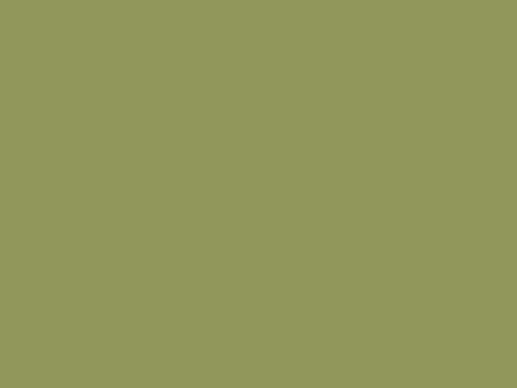 HPL-панель Lemark Оливковый SH-Shagreen (матовая), 3050*1300*8 мм