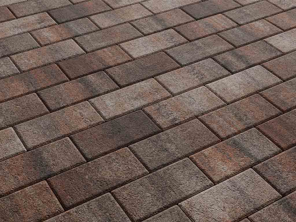 Плитка тротуарная Прямоугольник А.2.П.4 листопад гранит клен, 200*100*40 мм