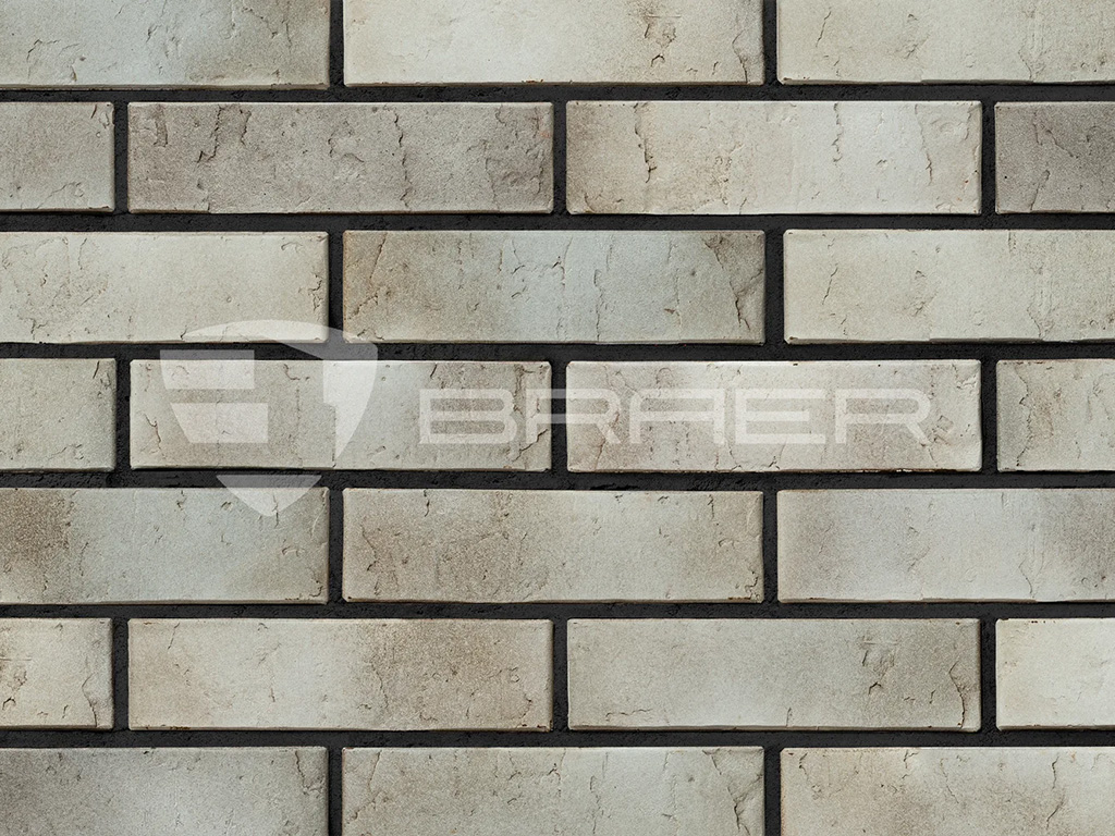 Кирпич BRAER PRO 72.03 с утолщенной стенкой, 250*120*65 мм