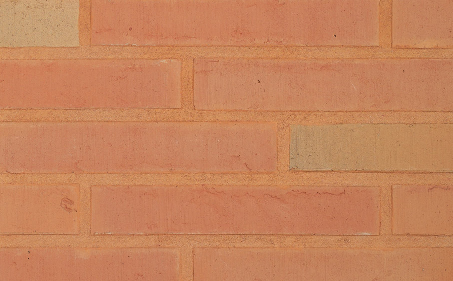 Кирпич облицовочный Terca Linnaeus Betula, 288*88*48 мм