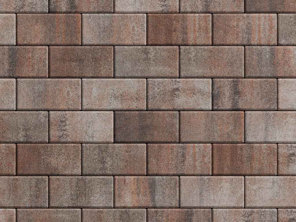 Плитка тротуарная Прямоугольник Б.2.П.6 листопад гладкий клен, 200*100*60 мм 