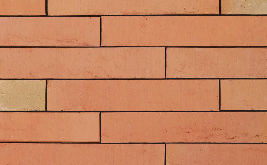 Кирпич облицовочный Terca Linnaeus Betula, 288*88*48 мм