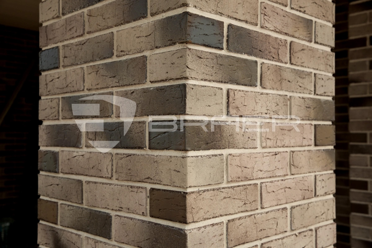 Кирпич BRAER PRO 14.04.1, 250*120*65 мм
