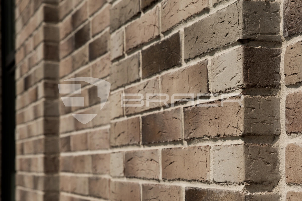 Кирпич BRAER PRO 14.04.1, 250*120*65 мм