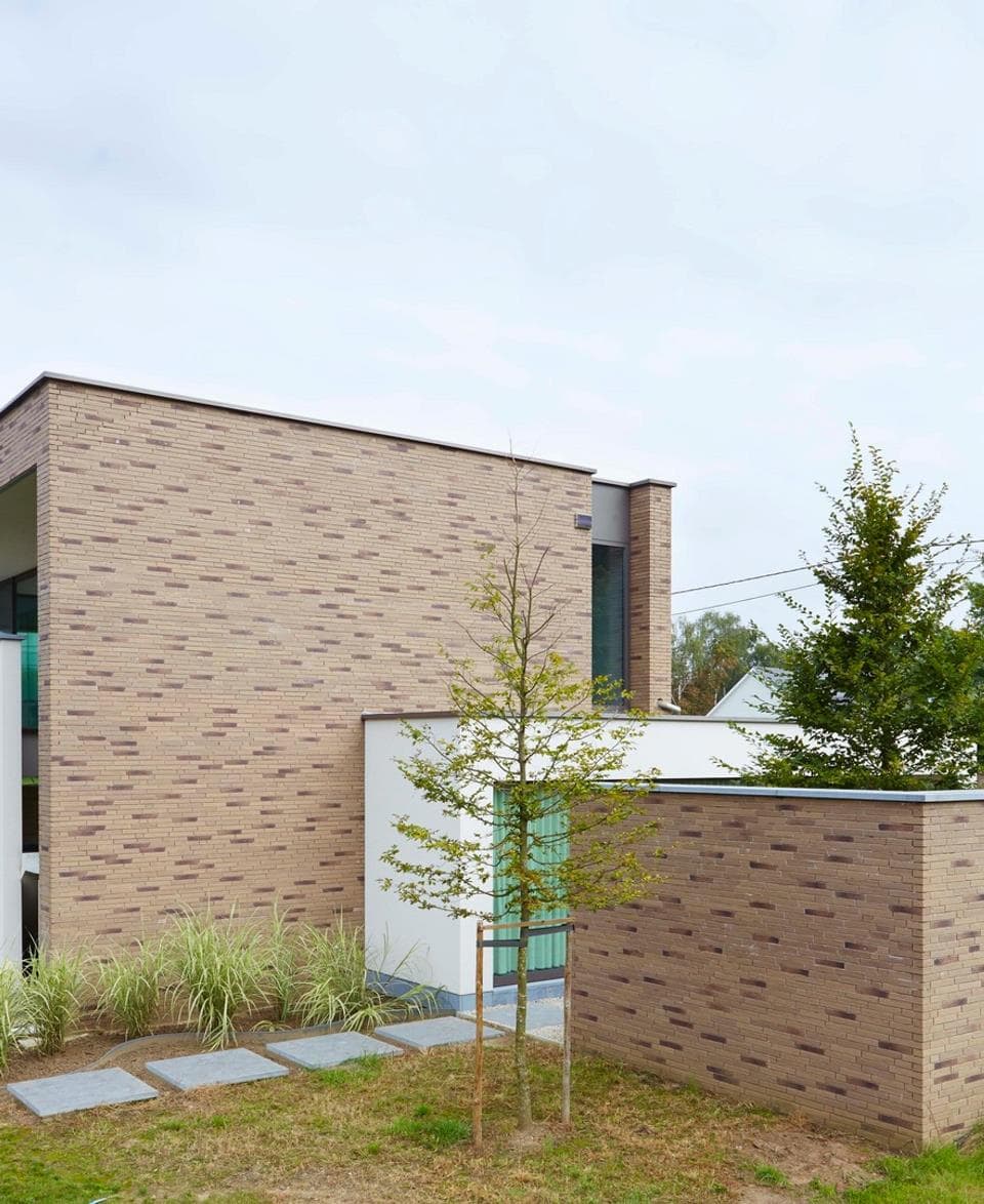 Кирпич облицовочный Terca Linnaeus Salix, 288*88*48 мм