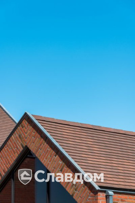 Частный дом с облицовкой кирпичом Terca Linneaus Robinia