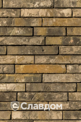 Частный дом во Фландрии с облицовкой кирпичом Terca Metropolis Colonia