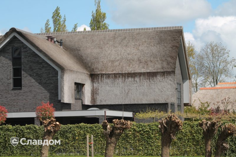 Частный дом с облицовкой кирпичом Terca Ebonywood