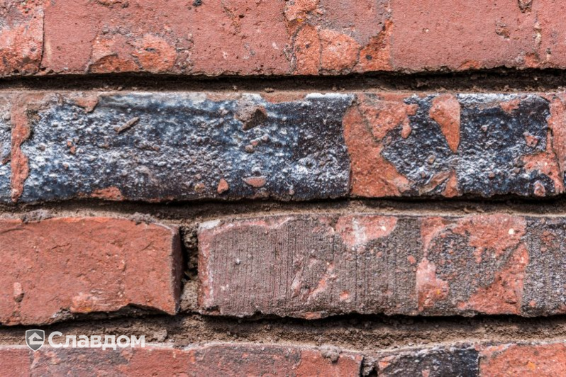 Частный дом в Эдегеме с облицовкой кирпичом Terca Wasserstrich Special E1