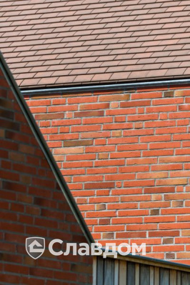 Частный дом с облицовкой кирпичом Terca Linneaus Robinia