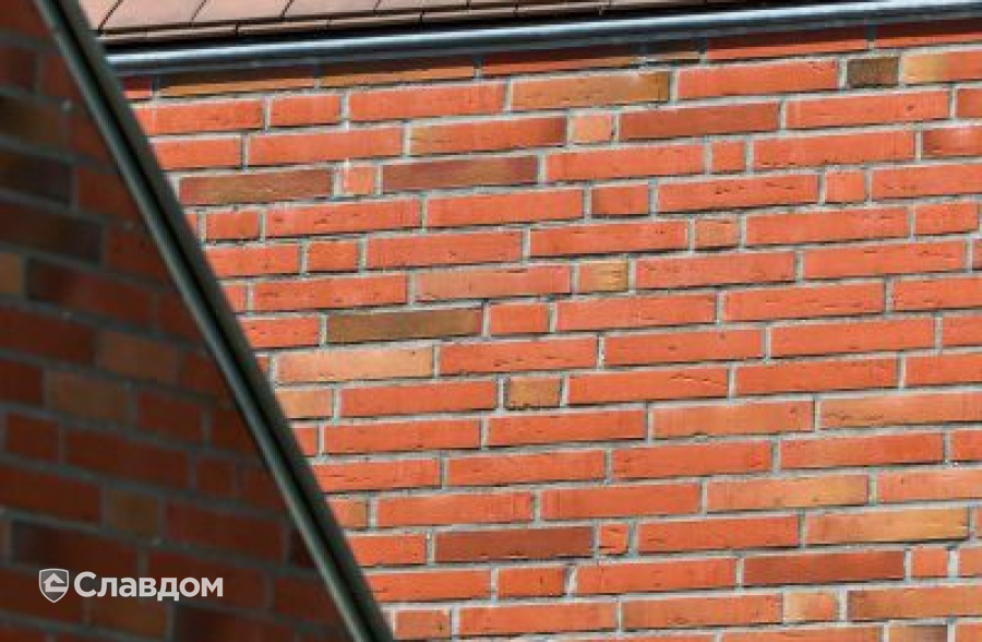 Частный дом с облицовкой кирпичом Terca Linneaus Robinia