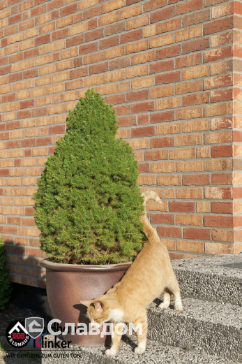 Загородный дом с облицовкой кирпичом Feldhaus Klinker 686 sintra ardor calino