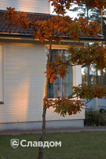 Двухэтажный дом с коричневой крышей с облицовкой кирпичом Terca Kuura гладкий