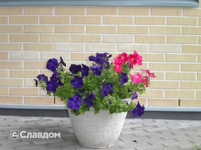 Коттедж с облицовкой кирпичом Terca Safari шероховатый