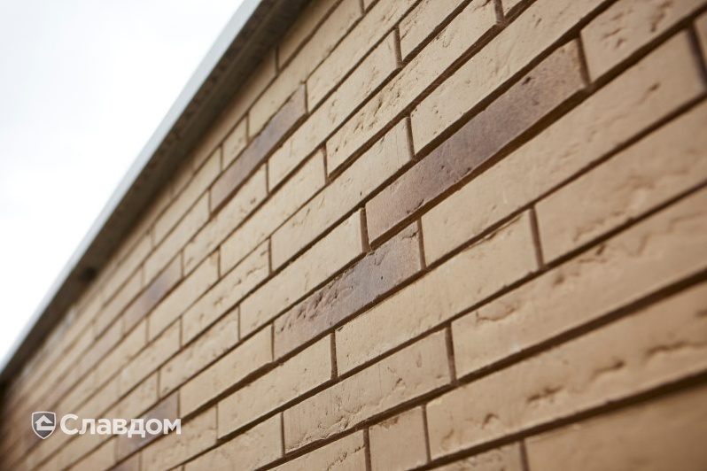 Частный дом в Тессендерло с облицовкой кирпичом Terca Linnaeus Salix