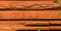 Частный дом в Левене с облицовкой кирпичом Terca Cassia Rood
