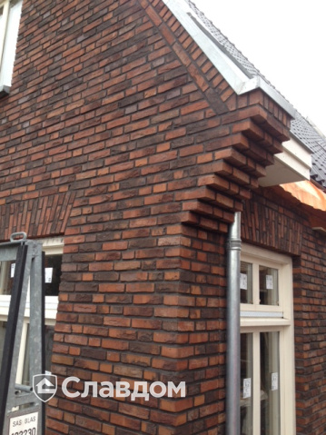 Частный дом с облицовкой кирпичом ENGELS HANDFORM Fogo