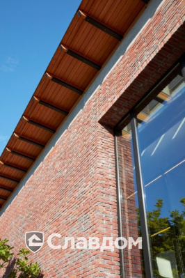 Офис в Мускроне с облицовкой кирпичом Terca Paarsblauw