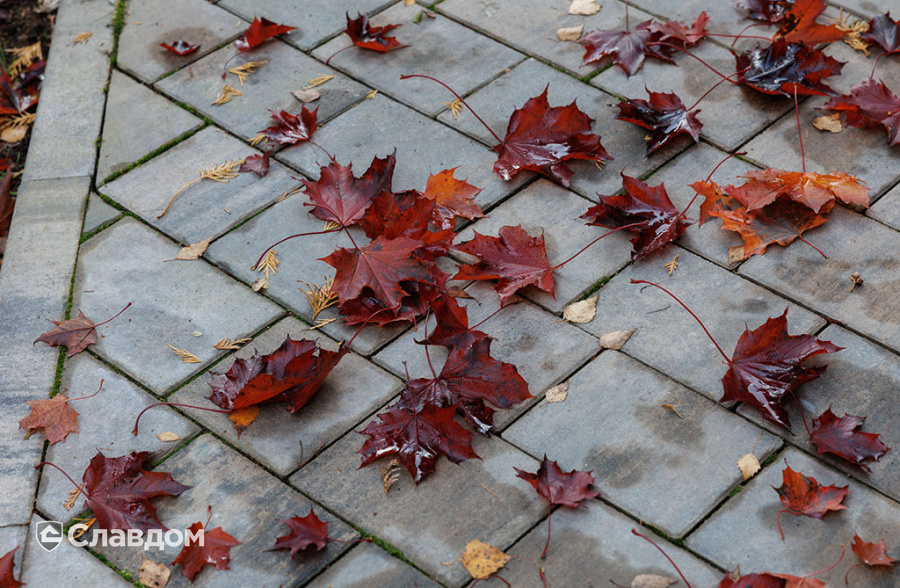 Частный дом с облицовкой кирпичом ручной формовки Сафоново Клинкер №9