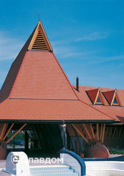 Комплекс с бассейном с крышей из черепицы Creaton Biber Klassik Naturrot