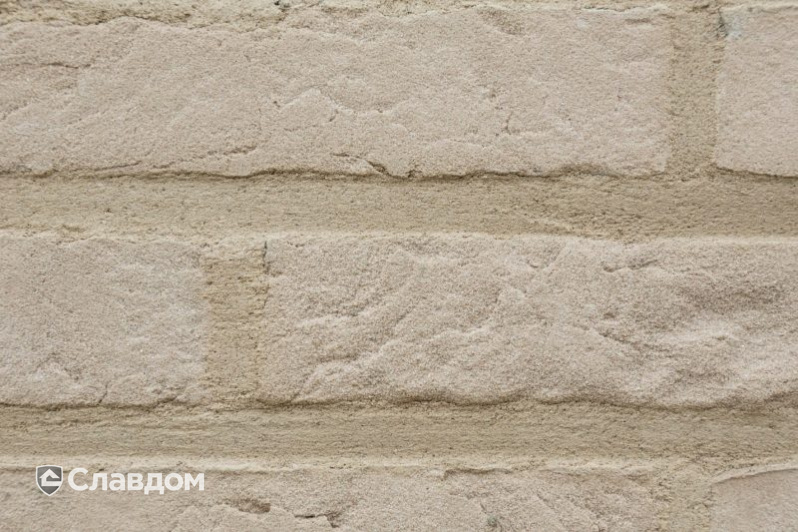 Частный дом с облицовкой кирпичом Terca Prata