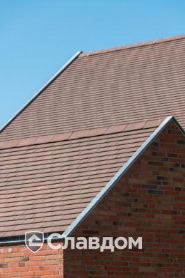 Частный дом с облицовкой кирпичом Terca Linneaus Robinia