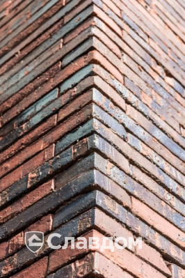 Частный дом в Эдегеме с облицовкой кирпичом Terca Wasserstrich Special E1