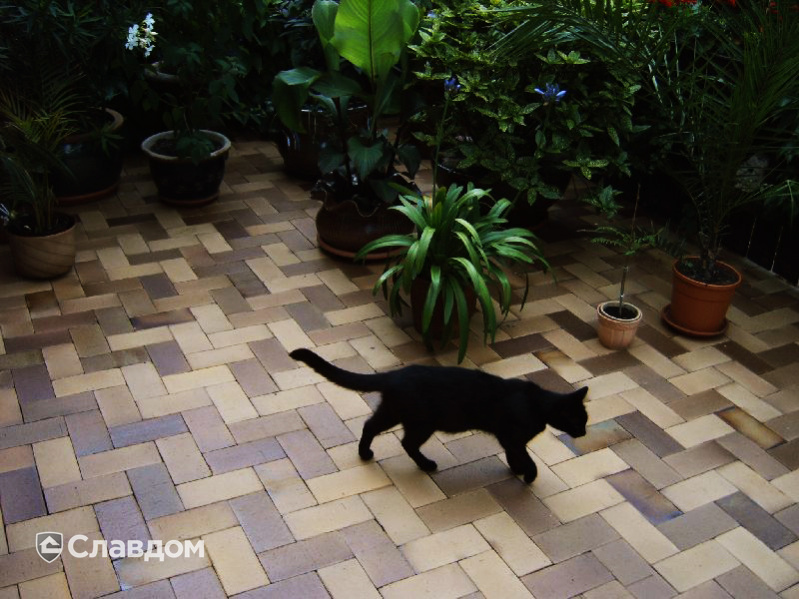 Садовая дорожка с покрытием брусчаткой MUHR 06S Hellbraun-bunt Spezial