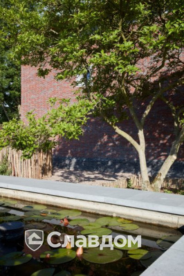 Офис в Мускроне с облицовкой кирпичом Terca Paarsblauw