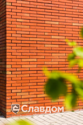 Медицинский центр с облицовкой кирпичом Terca Linneaus Robinia