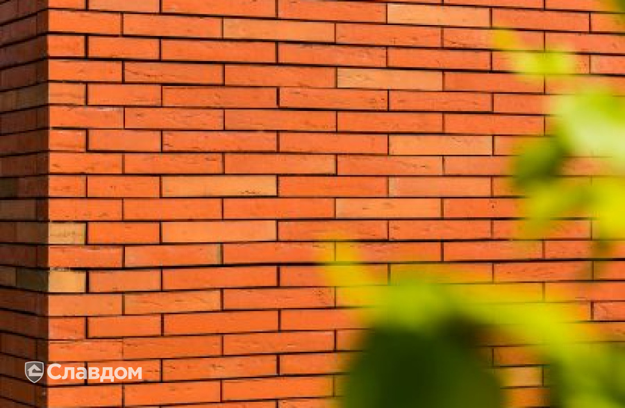 Медицинский центр с облицовкой кирпичом Terca Linneaus Robinia