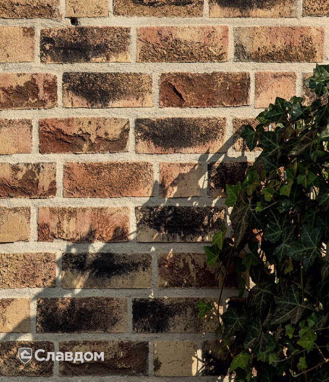 Частный дом с облицовкой кирпичом ручной формовки MUHR Nr 16 Norderney