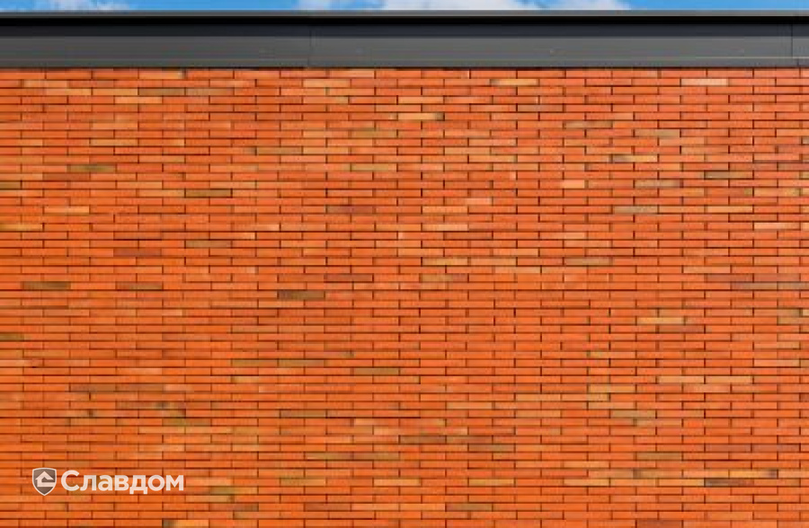 Медицинский центр с облицовкой кирпичом Terca Linneaus Robinia