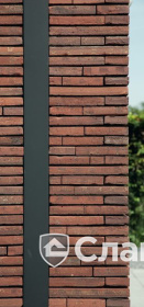 Частный дом в Бельгии с облицовкой кирпичом Terca WASSERSTRICH SPECIAL ROOD